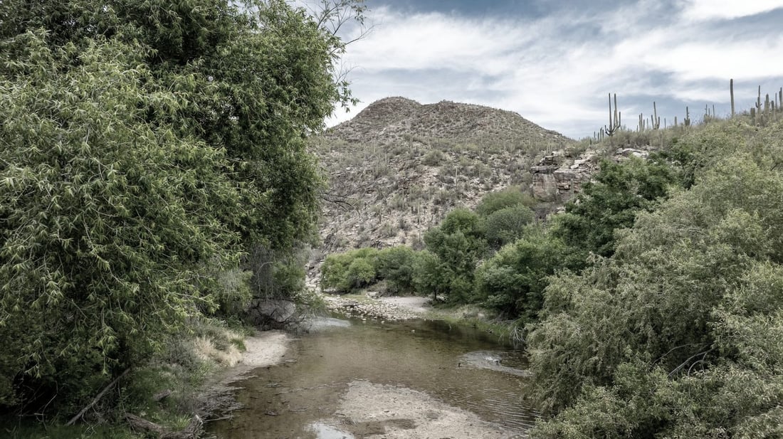 Sonoran desert around Cave Creek, Arizona