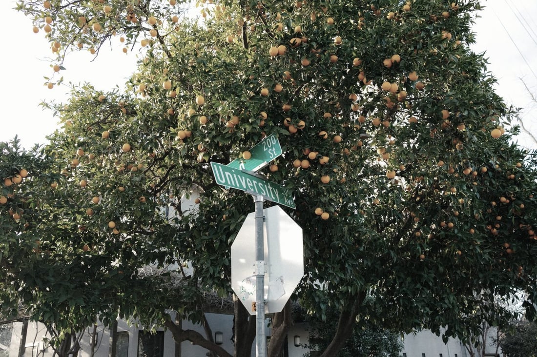 Residential street in Citrus Heights, California