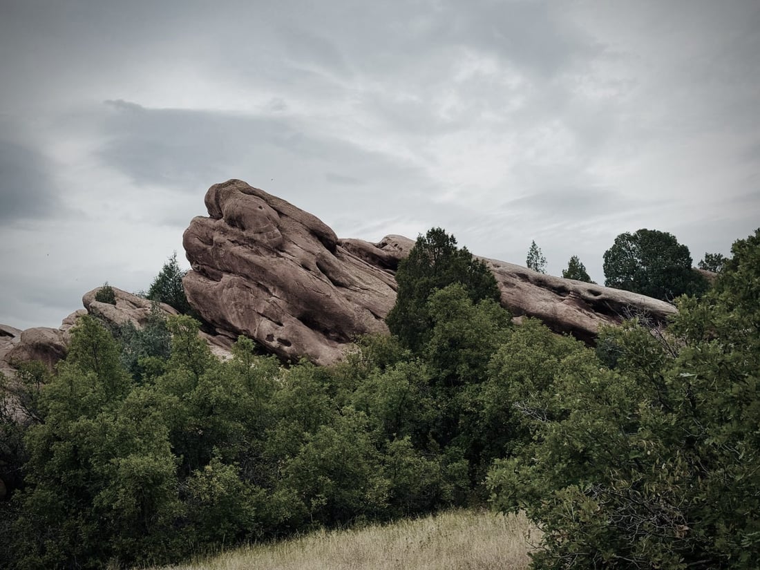 Littleton, Colorado with mountain backdrop