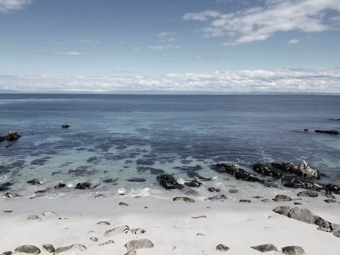 Monterey Bay coastline