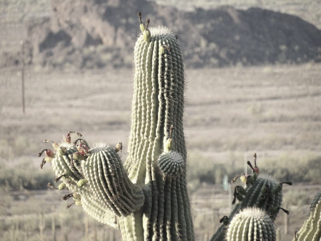 New homes in Surprise, Arizona