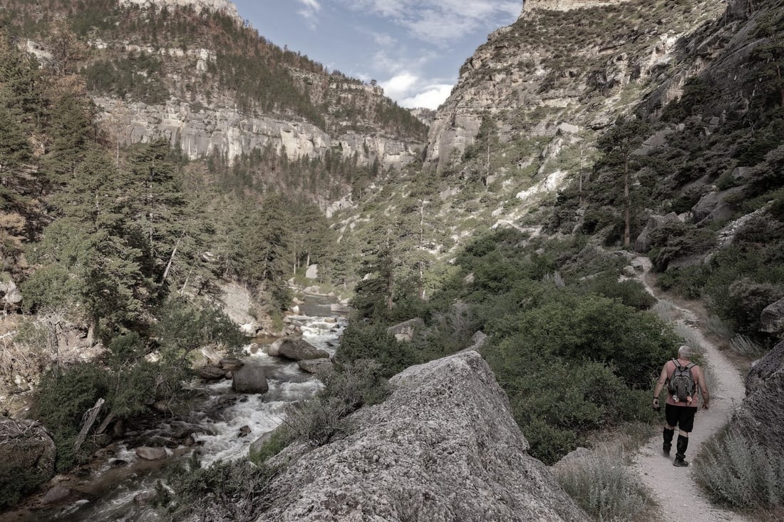 River trail in the Bighorn Mountains