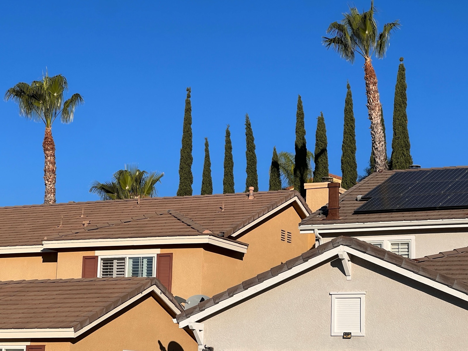 Rooftops and palm trees in a Stevenson Ranch, California neighborhood