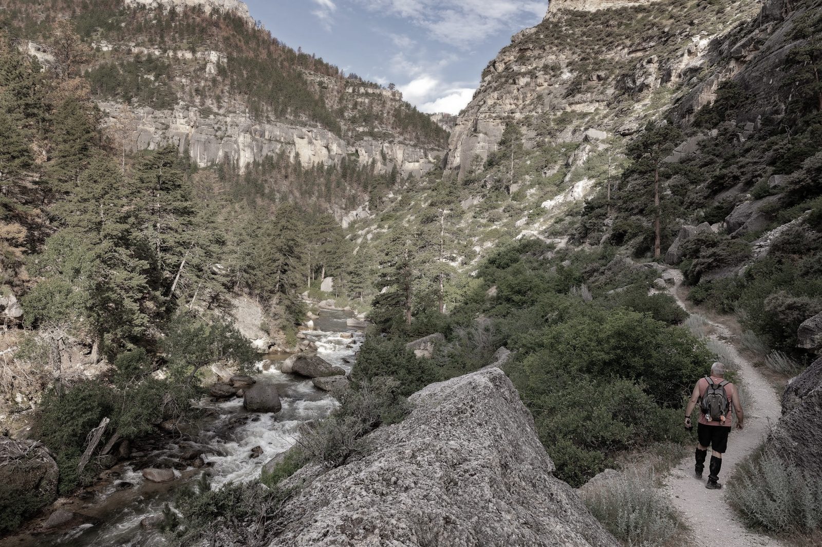 Bighorn Mountains near Sheridan, Wyoming
