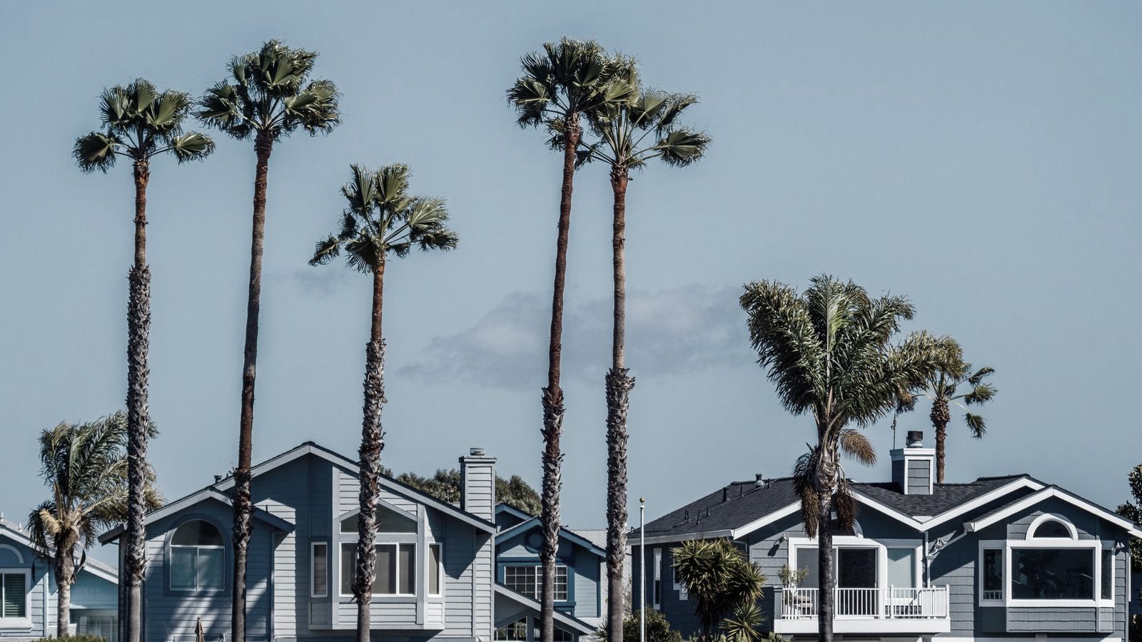 Seaside California neighborhood with palm trees