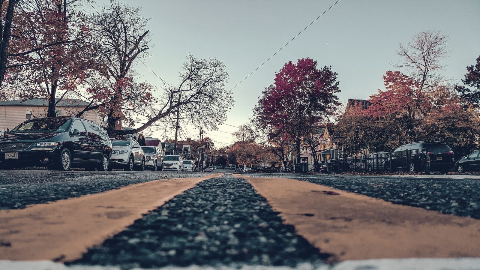 Tree-lined suburban street in North Jersey